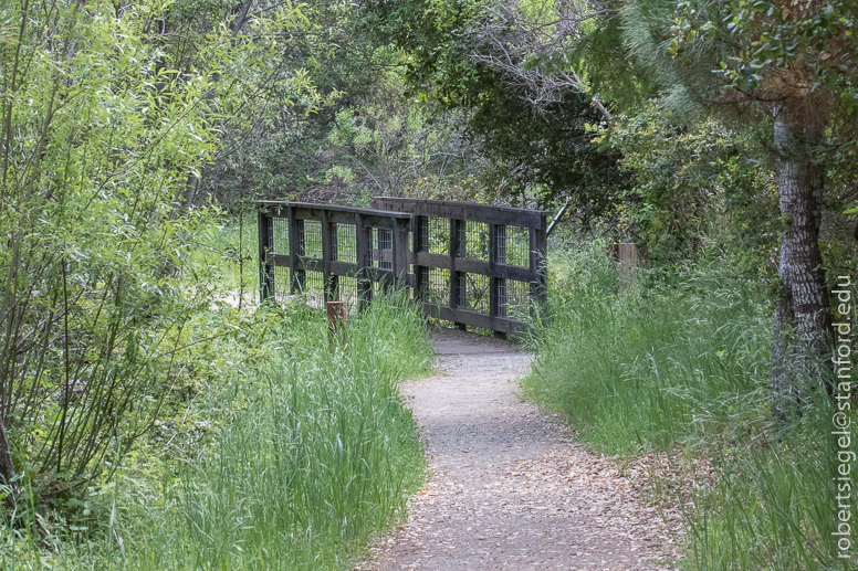 russian ridge